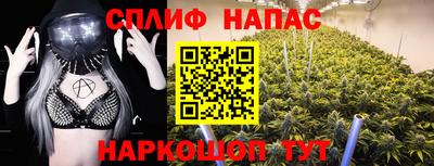 стаф Нарткала