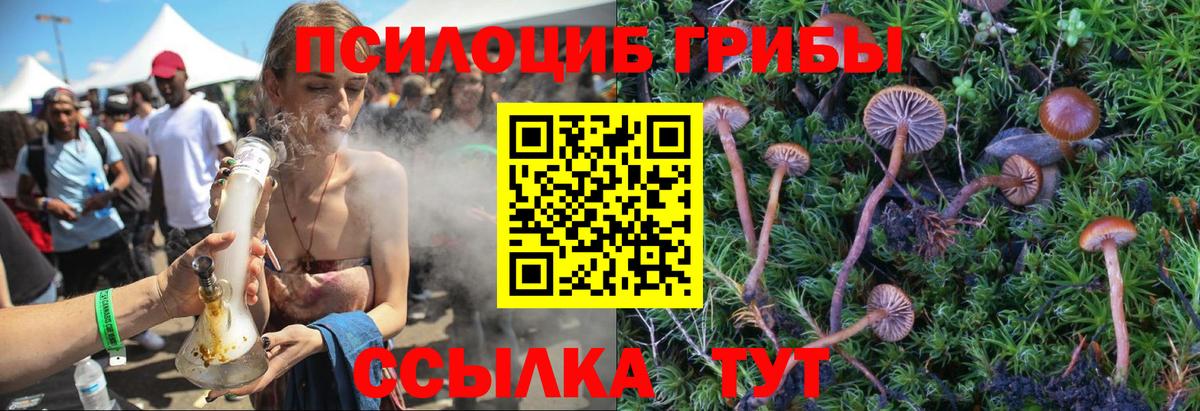 Галлюциногенные грибы Magic Shrooms  Вход с VPN  Таганрог 
